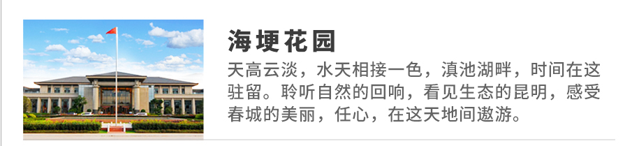 二級(jí)頁(yè)下屬品牌_01.jpg